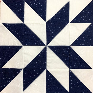 Anna's Choice Quilt Block in Navy and White