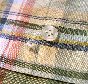 Button off of a plaid shirt