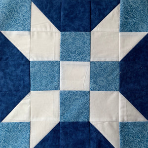 Rolling Star Block in Blue and White