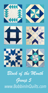 Group 5 of the How-To Block of the month. Light teal background with 6 quilt blocks. 